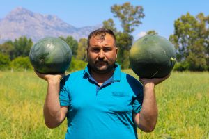 500 ton karpuz elinde kaldı