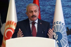 Şentop: D&uuml;nya g&uuml;venilir olursa n&uuml;fus hareketleri denge i&ccedil;inde gelişir