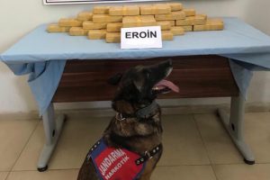 Derecik'te 21 kilo 790 gram eroin ele ge&ccedil;irildi
