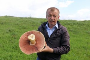 Dev 'kızıl mantar' bulundu