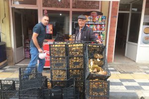 Bursa'da ayı mantarı ek gelir kapısı oldu