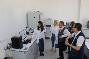 Faydalı b&ouml;ceklerle ormanlar koruma altında