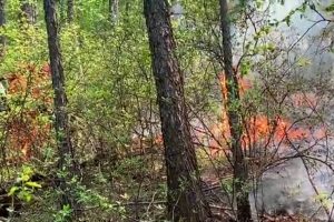 İ&ccedil; Moğolistan'da orman yangını b&uuml;y&uuml;yor