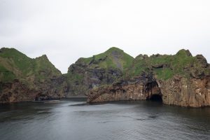 Beluga balinaları İzlanda'ya vardı