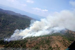 Marmaris'te orman yangın