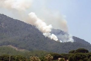 Marmaris'deki orman yangını kontrol altında