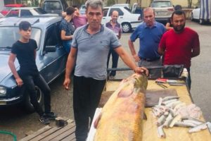 Yakaladığı 110 kiloluk yayın balığını sergiledi