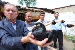 Bursa G&uuml;vercin Sevenler Derneği Başkanı'ndan yetiştiricilere &ccedil;ağrı
