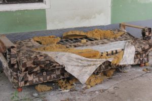 K&ouml;peklerin par&ccedil;aladığı &ccedil;ekyattan &ccedil;ıkanlar şoke etti
