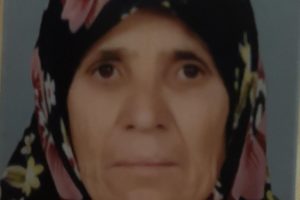 Bursa'da tarlaya giden yaşlı kadın &ouml;l&uuml; bulundu
