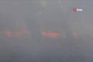 Gaziantep'teki orman yangını kontrol altına alındı