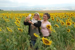 Sarıya boyanan tarlalar fotoğraf tutkunlarını cezbediyor