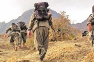 Tunceli'de 2 ter&ouml;rist etkisiz hale getirildi