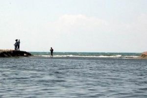 Asi Nehri'nde balık &ouml;l&uuml;mleri g&ouml;zlendi