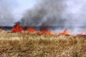 Devasa yangını elbiseleri ile s&ouml;nd&uuml;rmeye &ccedil;alıştılar