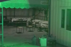 İnşaata dadanan ayı bek&ccedil;inin korkulu r&uuml;yası oldu