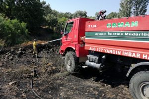 Zeytinlikte korkutan yangını