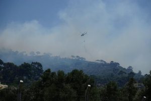Ormanlık alanda yangın
