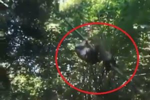 Arkadaşların macera tutkusu hastanede bitti
