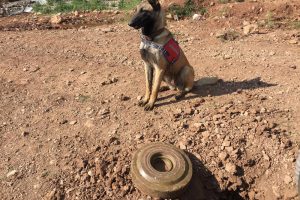 Yola tuzaklanmış anti tank m&uuml;himmatı imha edildi