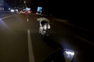 Bursa'da motosikletin &uuml;zerine yatan s&uuml;r&uuml;c&uuml;n&uuml;n tehlikeli yolculuğu