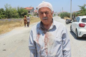 Sokak k&ouml;pekleri yaşlı adama saldırdı
