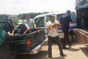 Bursa'da sahipsiz yavru k&ouml;pekler koruma altında