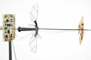 Kendi kendine u&ccedil;abilen RoboBee X-Wing tanıtıldı