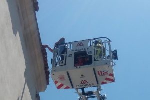 Kiremitlerin arasına sıkışan ser&ccedil;e kurtarıldı