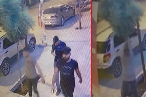Ağa&ccedil; magandasına ibretlik ceza!