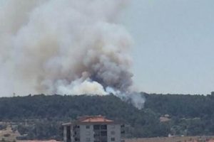 İzmir'de orman yangını!