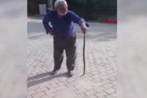 Bursa'da yatak odasında &ccedil;ıplak elle yakaladığı yılanı doğaya bıraktı
