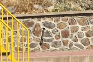 Bursa'da &ccedil;ocuk parkında yılan paniği