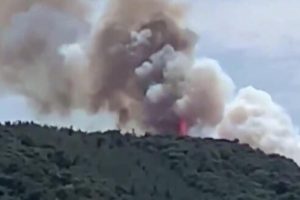 Heybeliada'da orman yangını