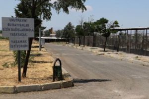 Hayvanlar i&ccedil;in g&ouml;nderilen ekmeği satan veteriner g&ouml;revinden uzaklaştırıldı