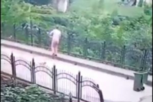 Yavru k&ouml;peği faraşa koyup dereye attı