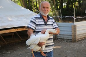 "Kaz &ccedil;iftliği" kurdu siparişlere yetişemiyor