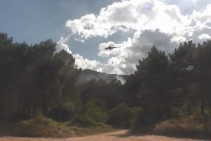 Aydos Ormanı'nda yangın