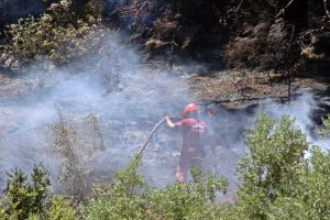 Antalya'da 6 hektarlık alan zarar g&ouml;rd&uuml;