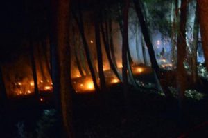 Sigara izmariti 1 hektar alanı k&uuml;le &ccedil;evirdi