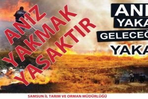 Anız yakanlara her dekar i&ccedil;in 60 lira para cezası