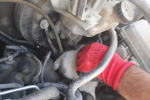 Aracın motor b&ouml;lmesine sıkışan yavru kedi kurtarıldı