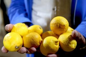 Haziran'da en &ccedil;ok limonun fiyatı arttı