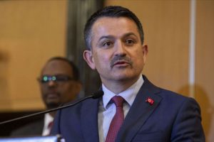 Pakdemirli: 'T&uuml;rkiye, Somali'ye desteğini kapsayıcı bir vizyonla devam ettiriyor'