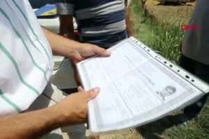 Bursa Yenişehir'de buğday tanelerini tek tek toplayıp tartıyorlar
