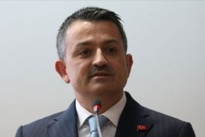 Bakan Pakdemirli: Kurbanlık hayvan varlığında sıkıntı yok