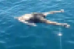 Tekne turu yaparken erkek cesedi buldular!