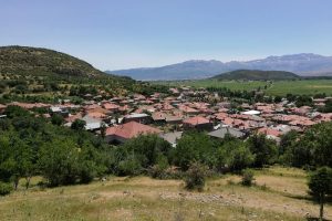 Seydişehir'de kuduz karantinası