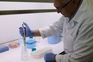 Patatesin DNA'sı incelenerek hastalıklara dayanıklı &ccedil;eşitler geliştiriliyor