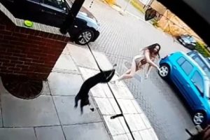 Bah&ccedil;esine giren kediyi acımasızca fırlattı